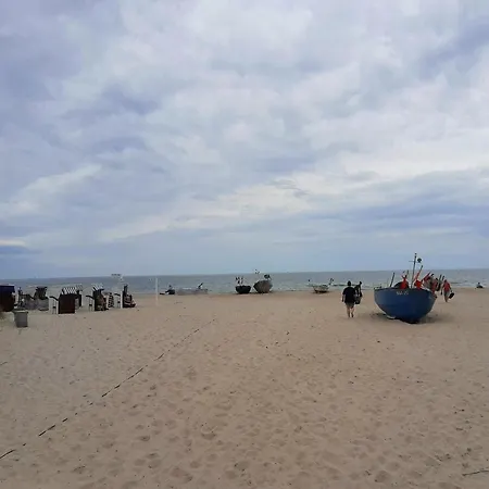 Complex In By The Sea Зеллин