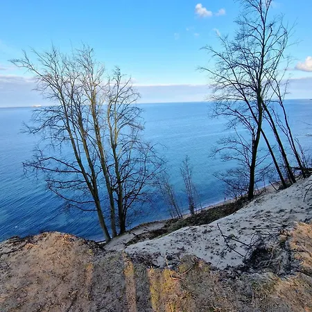 Complex In By The Sea * Зеллин