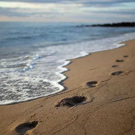 Complex In By The Sea *