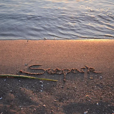 Complex In By The Sea * Зеллин